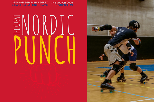 Nordic Punch poster